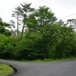 新着物件情報【別荘用地】鳥取県ロイヤルシティー大山リゾート地内 敷地約177坪付
