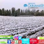 マイホームにあったらいいなと思うだけで不必要な設備や機能シリーズ(*´ω`*)