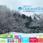 マイホーム ペット編 散歩用勝手口☆
