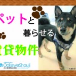 不動産・住宅情報サイト HOME´Sホームズに会社紹介・物件掲載中!