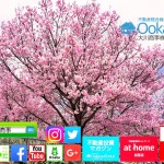 【かつての裏仕事】名作!迷惑!スパムメールの文言に、敏腕コピーライターの影アリ!