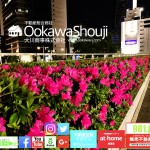 【投資失敗!】為替チャートを見るだけで頭痛、吐き気に襲われる!『ハイレバレッジFXで堕ちた、不動...