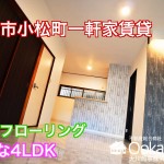 4LDK 南海本線松ノ浜駅泉大津駅2WAYアクセス可 ペット可の一軒家賃貸 室内動画公開中