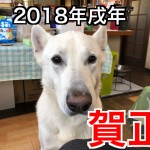 2018年度もよろしくお願い致します。