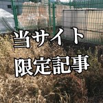 【とんでもないもの発見!】検証!不法投棄スポットには、ヤバいものが捨てられているという噂は本当か...