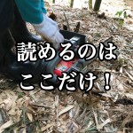 【大量の〇〇が放置!】検証!不法投棄スポットには、ヤバいものが捨てられているという噂は本当か?-...