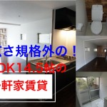 【室内動画公開】LDKの広さ規格外14.5帖一軒家賃貸 堺市中区土師 駐車場付 3LDK