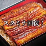 ランキング記事!土用の丑の日に食べたいスタミナのつく食べ物!Best3
