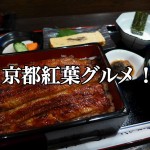 【不動産業者オススメの孤独なグルメ】番外編!秋の紅葉・京都グルメSPー第2回ー