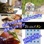 1月13日週末【初めての不動産投資マガジン】ピックアップランキング!