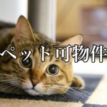 身近な疑問!ペット不可の賃貸物件、どの動物なら許される?-第1回-