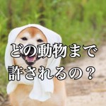 身近な疑問!ペット不可の賃貸物件、どの動物なら許される?-第2回-