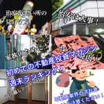 3月3日週末【初めての不動産投資マガジン】ピックアップランキング!