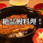 【不動産業者オススメの孤独なグルメ】埼玉・所沢『うなぎ屋酒坊・画荘 越後屋